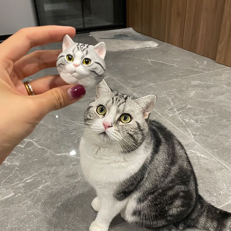 宠物定制